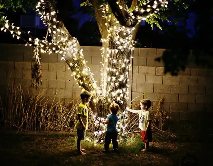 Ağaç Işıklandırma Süsleme