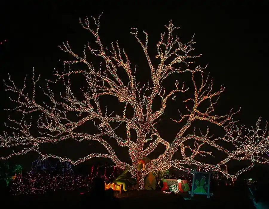 Ağaç Yılbaşı Işık Süsleme