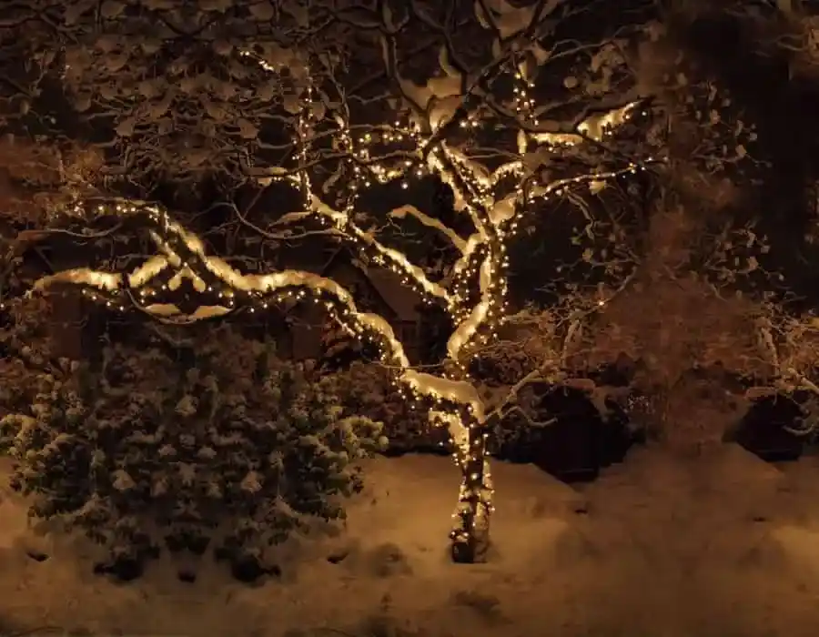 Ağaç Yılbaşı Işık Süsleme