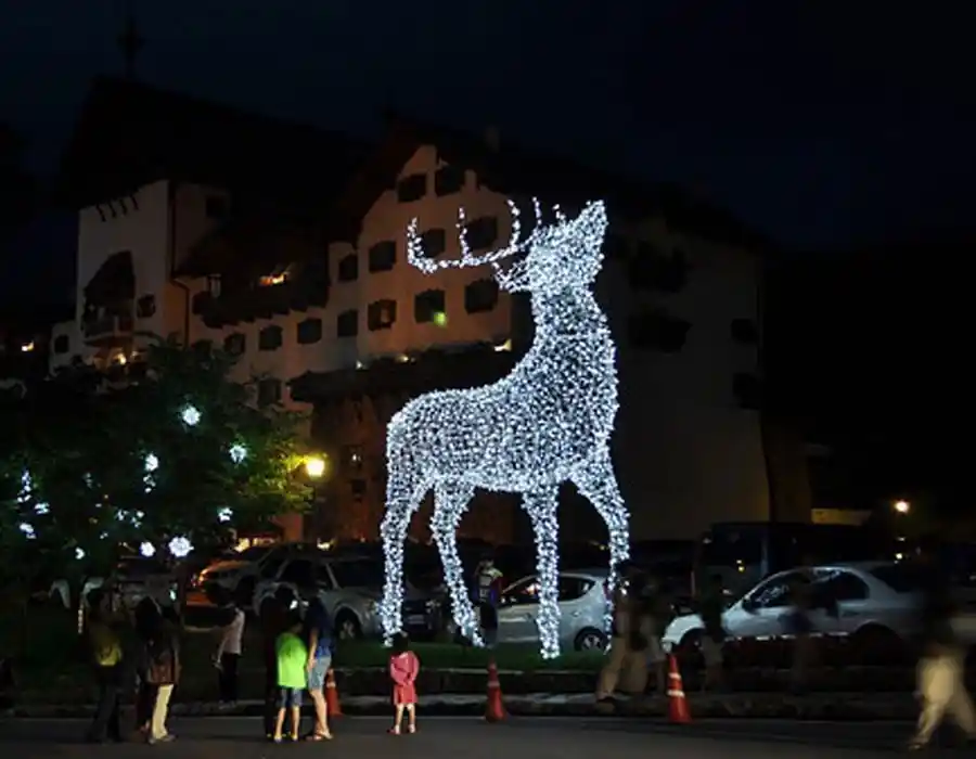 LED Işıklı Tel Geyik