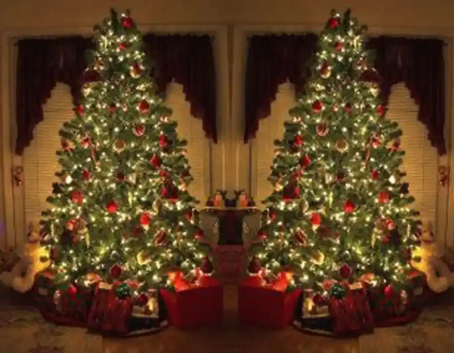 Ağaç Yılbaşı Işıklandırma