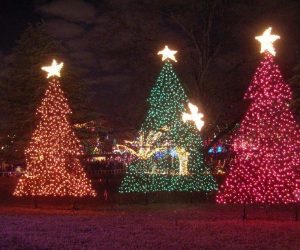 AĞAÇ YILBAŞI IŞIK SÜSLEME