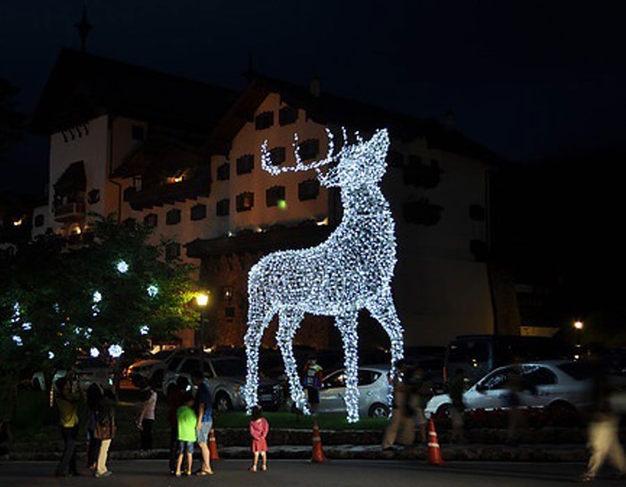 LED Işıklı Tel Geyik