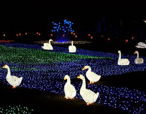 ÜÇ BOYUT IŞIKLI KUĞU IŞIK TASARIM SÜSLEME