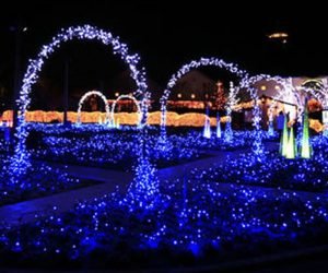 YILBAŞI EV SÜSLEMELERİ,