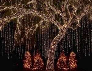 Ağaç Işık Süsleme