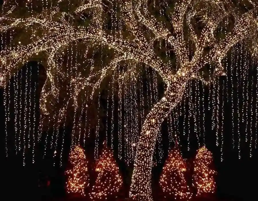 Ağaç Yılbaşı Işıklandırma