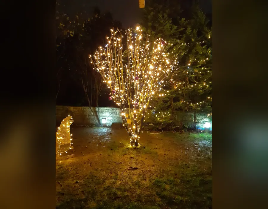 Bahçedeki ağacın dallarına sarılmış gün ışığı LED