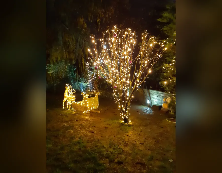 Işıklandırılmış bahçe ağacı ve önünde ışıklı geyik kızak Işıklandırılmış bahçe ağacı ve önünde ışıklı geyik kızak