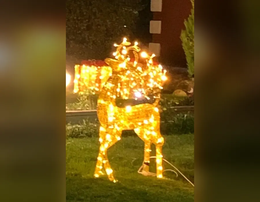 Bahçe çiminde altın ışıklı geyik figürü Bahçe çiminde altın ışıklı geyik figürü