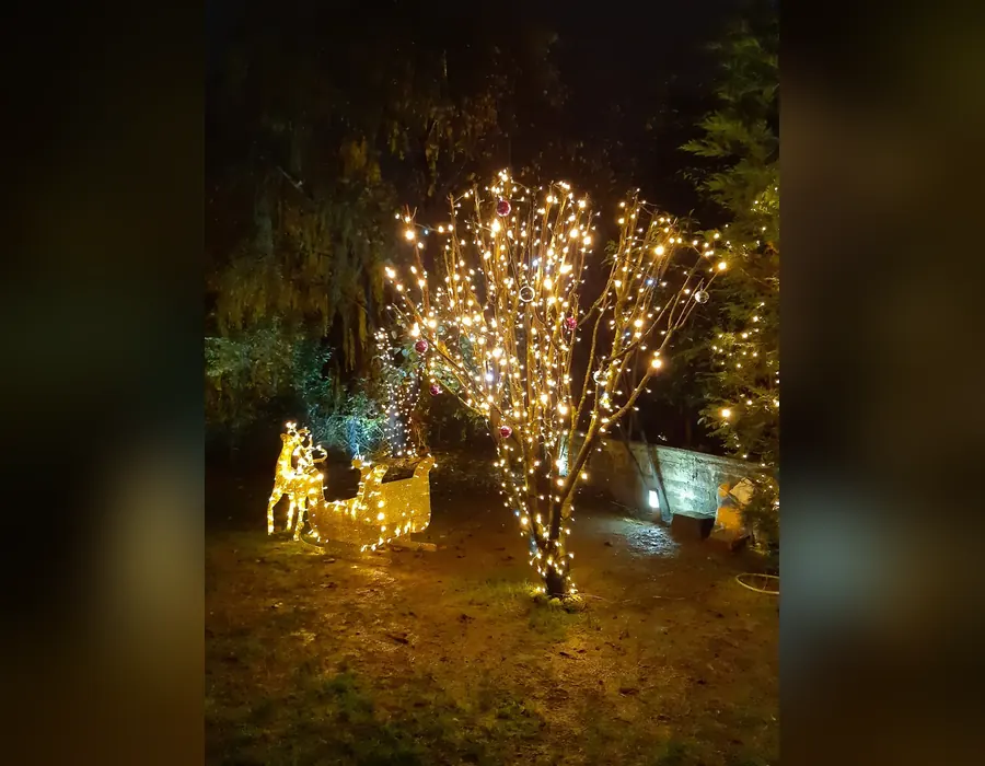 Villa bahçesinde ağaç yılbaşı ışıklandırması Villa bahçesinde ağaç yılbaşı ışıklandırması
